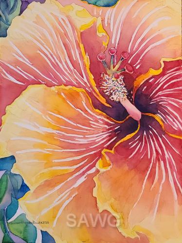 Kauai Hibiscus 1 by Maureen Henson-Brunke